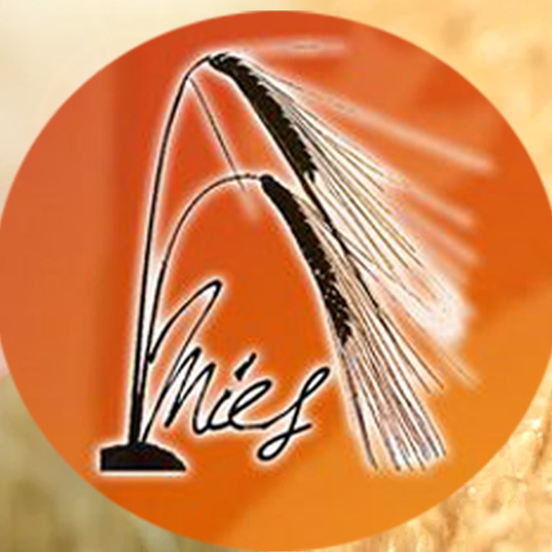 278242484 5311470852236417 5870584085407994318 n